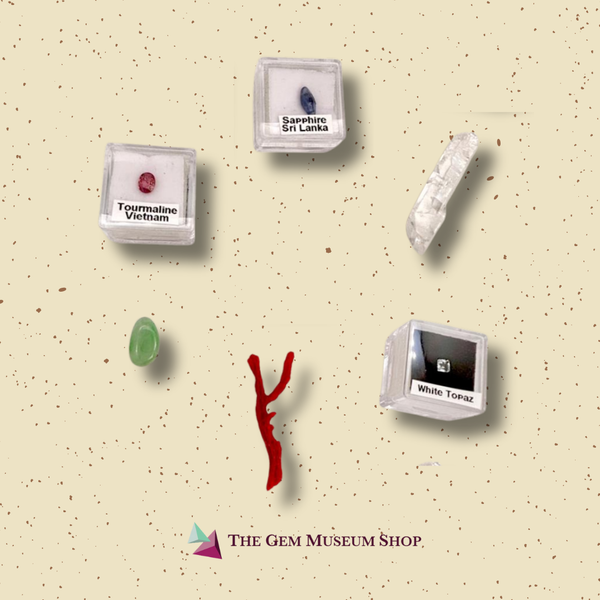 Collection of gemstones in display cases on a beige background with 'The Gem Museum Shop' branding.