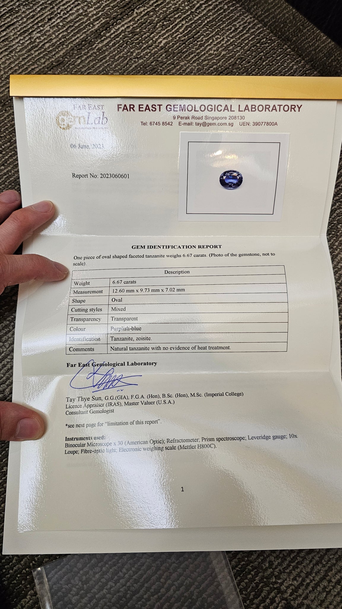 Tanzanite Natura Unheated 6.67ct - Far East Gems & Jewellery